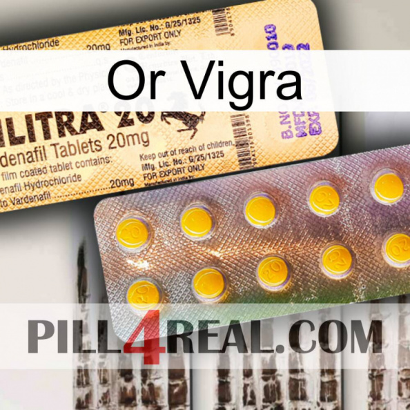 Gold Vigra new06.jpg
